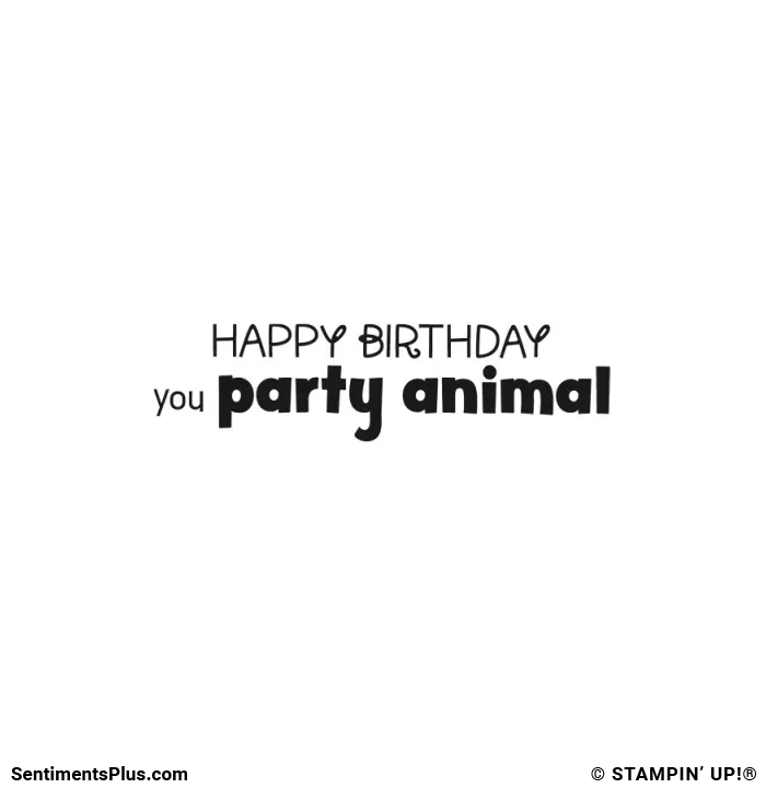 Happy Birthday You Party Animal