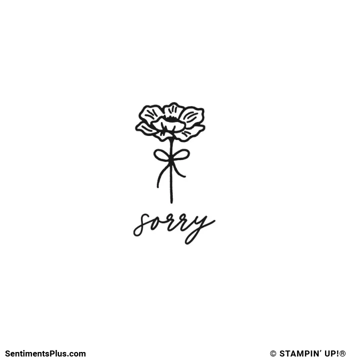Sorry