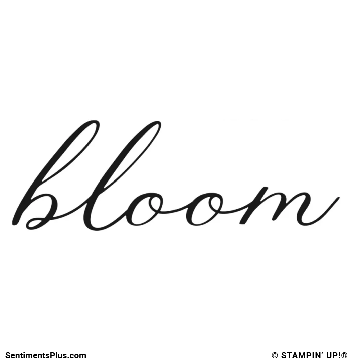 Bloom