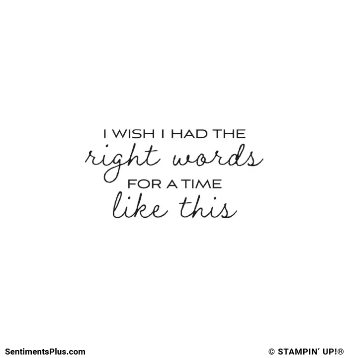 I Wish I Had The Right Words