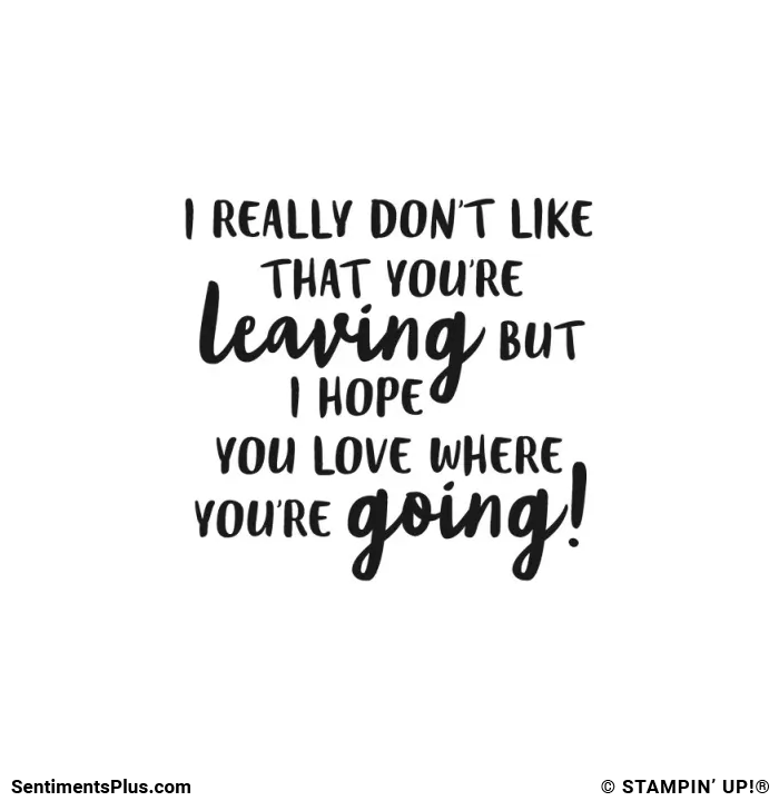 I Really Don't Like That You're Leaving