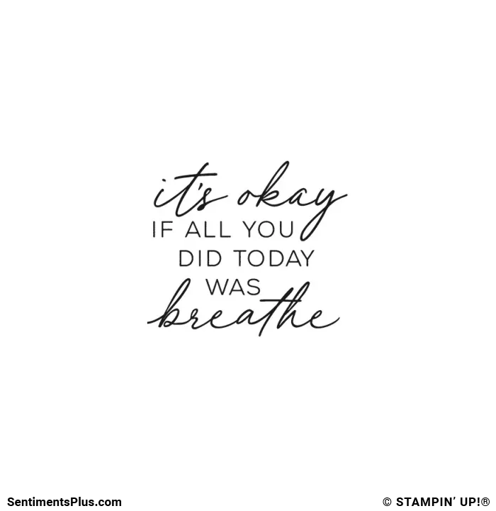 It's Okay Stamp: ©Stampin' Up!®