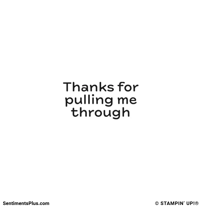 Thanks For Pulling Me Through Stamp: ©Stampin' Up!®