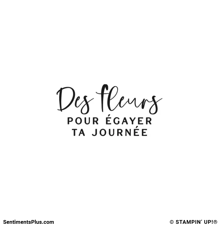Des Fleurs Pour Égayer Ta Journée