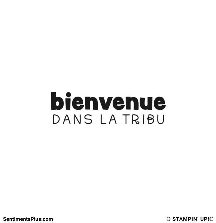 Bienvenue Dans La Tribu