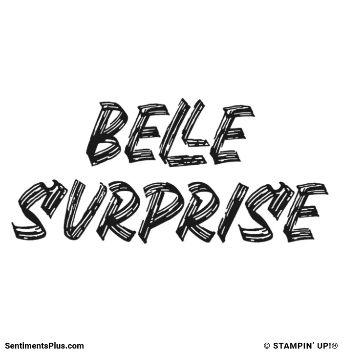 Belle Surprise