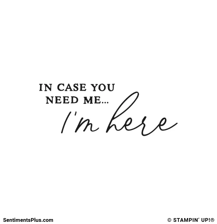 In Case You Need Me...