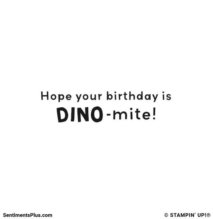 Hope Your Birthday is Dino-mite!