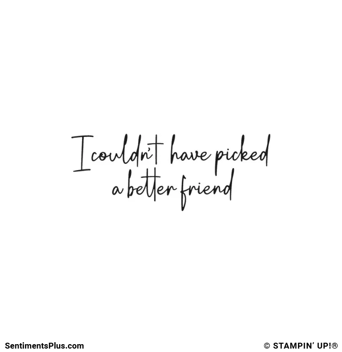 I Couldn't Have Picked a Better Friend