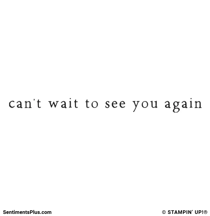 Can't Wait to See You Again