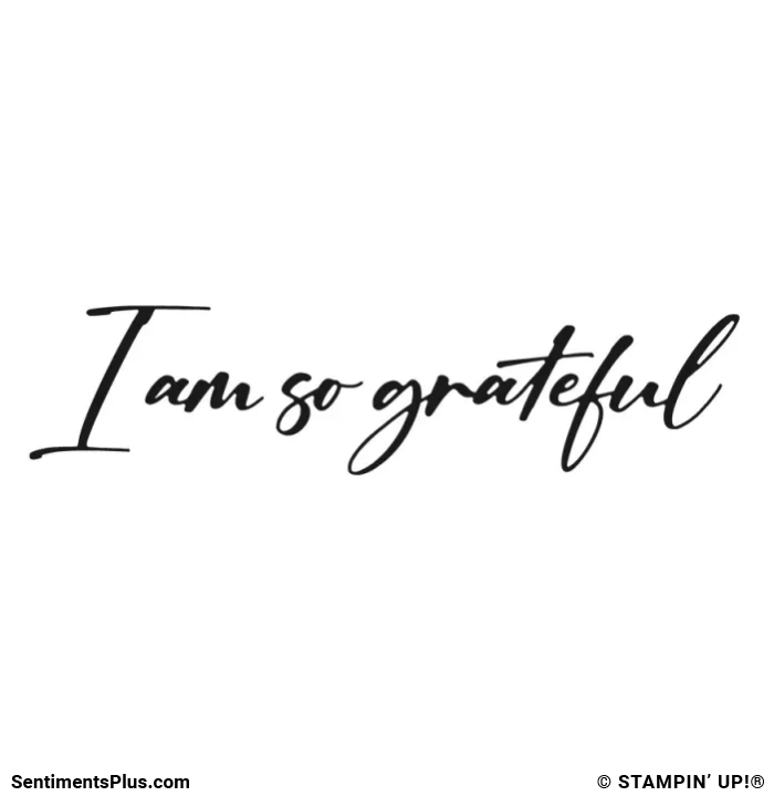 I Am So Grateful