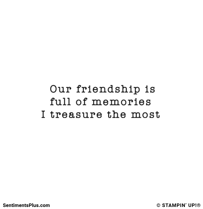 Our Friendship is Full of Memories
