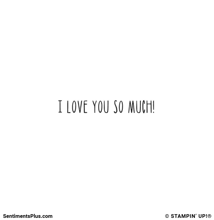 I Love You So Much!