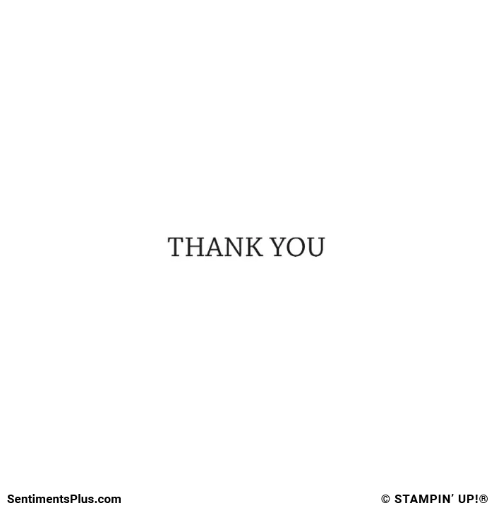Thank You
