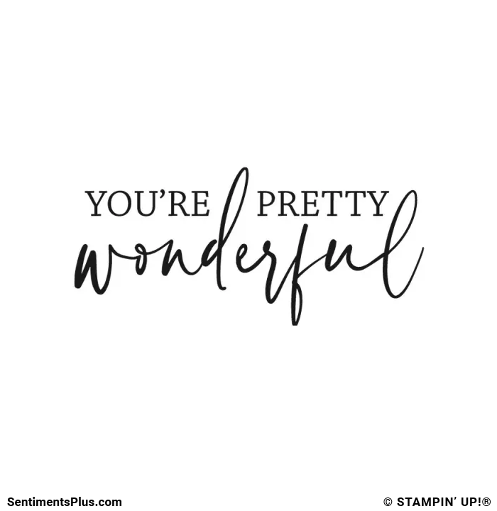 You're Pretty Wonderful