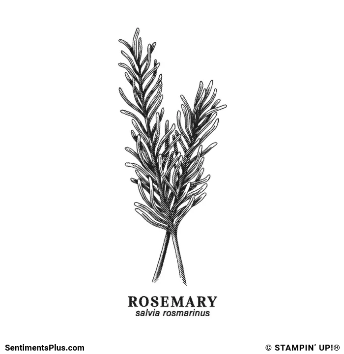 Rosemary