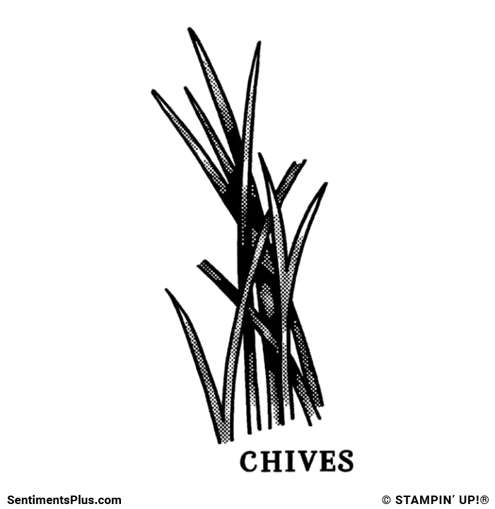 Chives