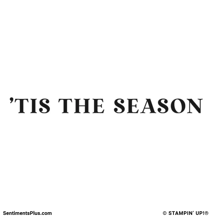 'This The Season Stamp: ©Stampin' Up!®