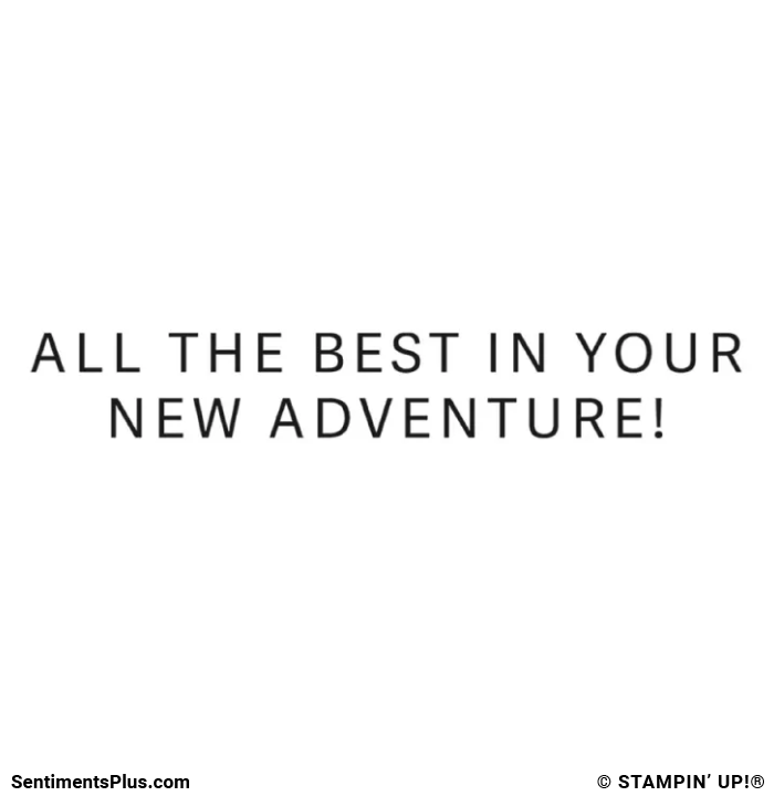 All the Best in Your New Adventure!