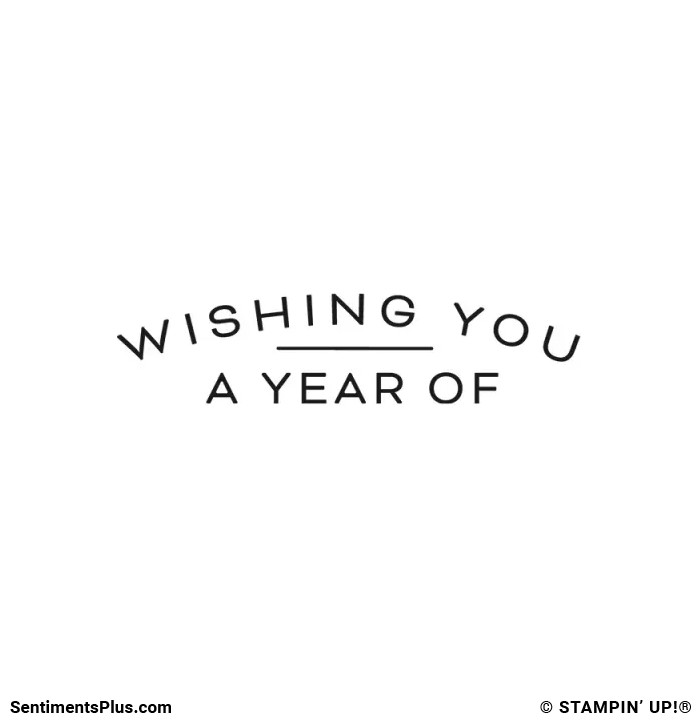 Wishing You a Year of Stamp: ©Stampin' Up!®