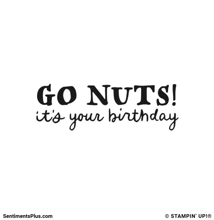 Go Nuts! It's Your Birthday Stamp: ©Stampin' Up!®
