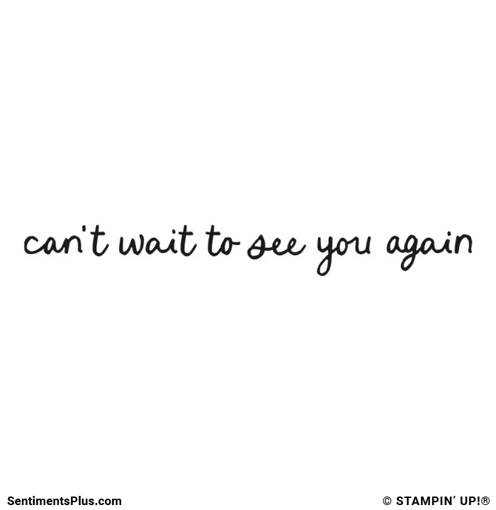 Can't Wait to See You Again