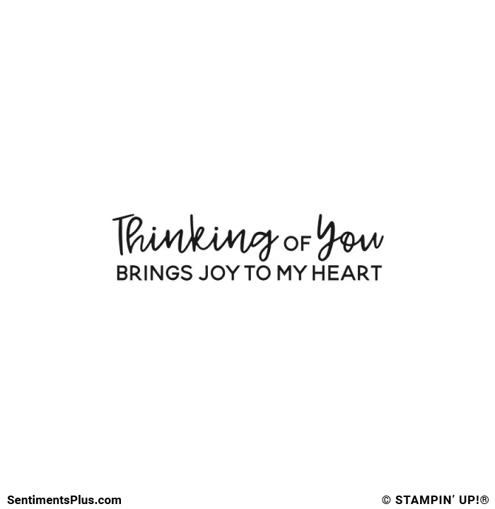 Thinking of You Brings Joy to My Heart Stamp: ©Stampin' Up!®