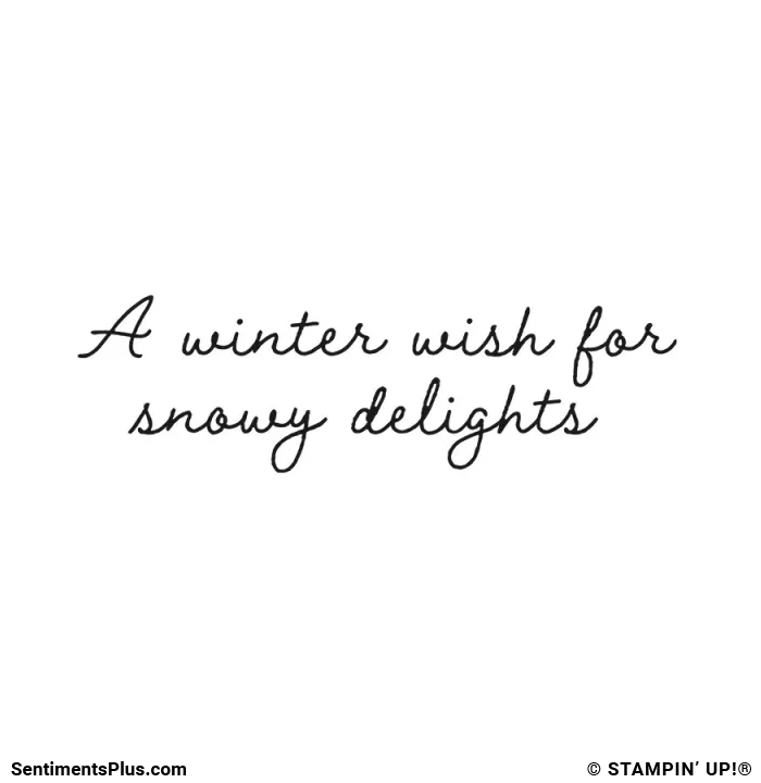 A Winter Wish for Snowy Delights