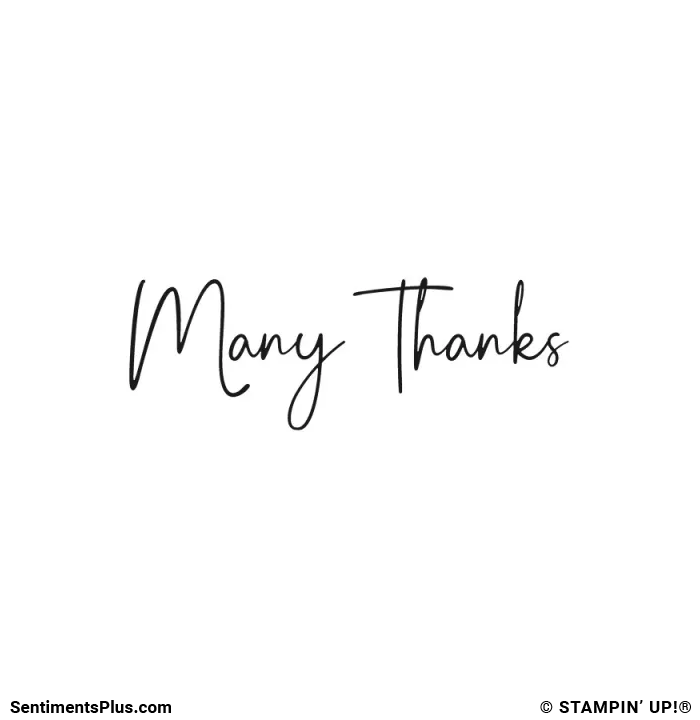 Many Thanks