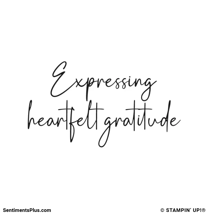 Expressing Heartfelt Gratitude