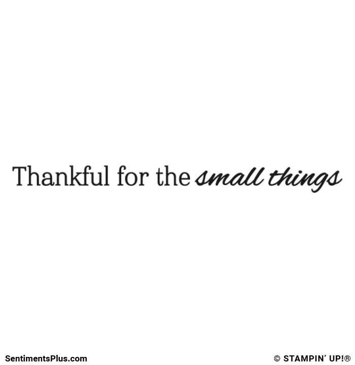 Thankful for the Small Things