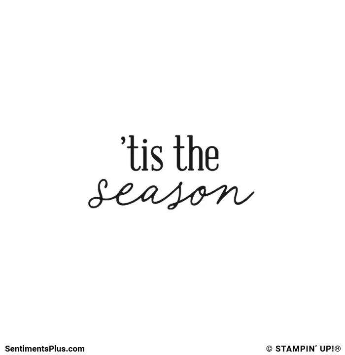 'Tis the Season Stamp: ©Stampin' Up!®