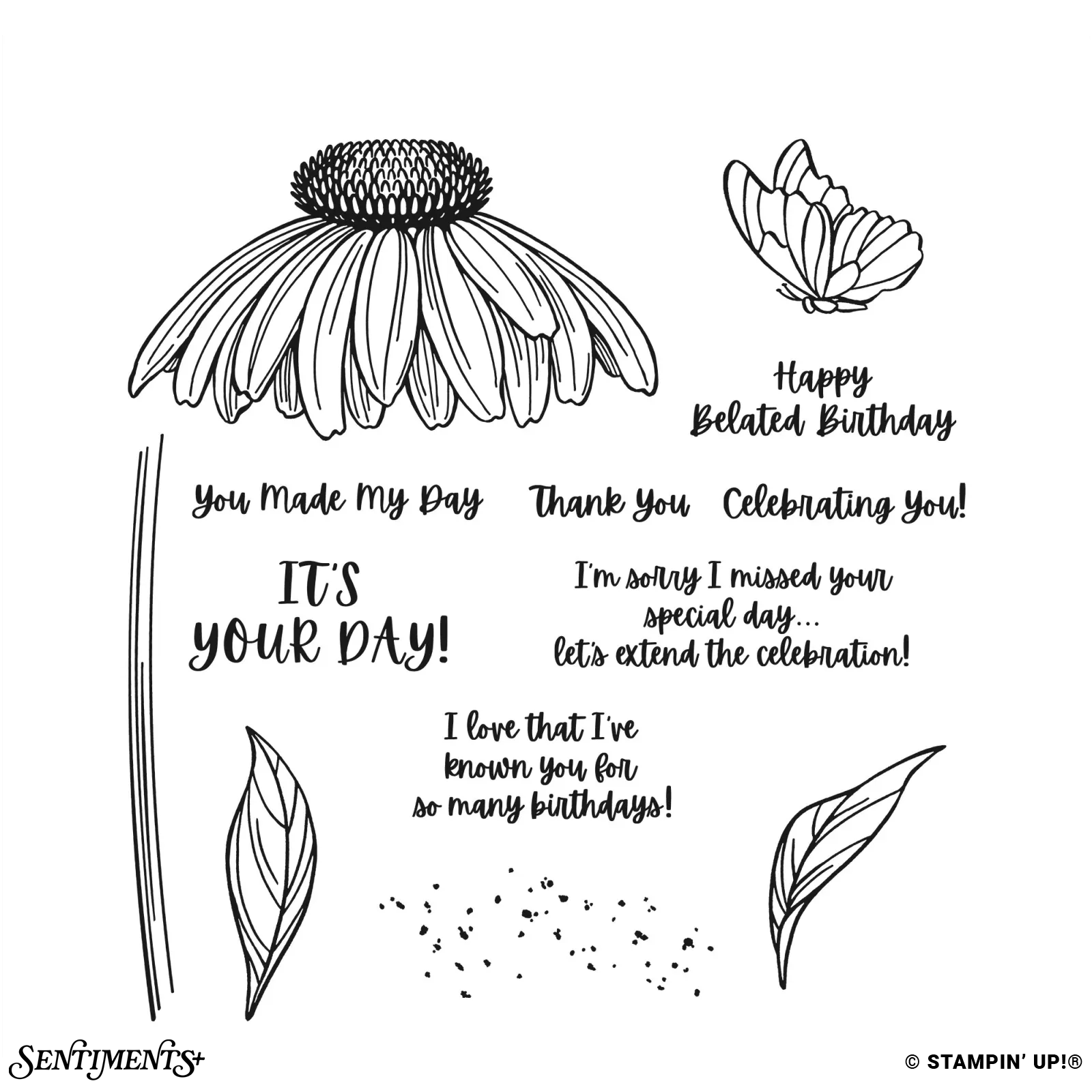 Coneflower Celebrations Stamp Set: ©Stampin' Up!®