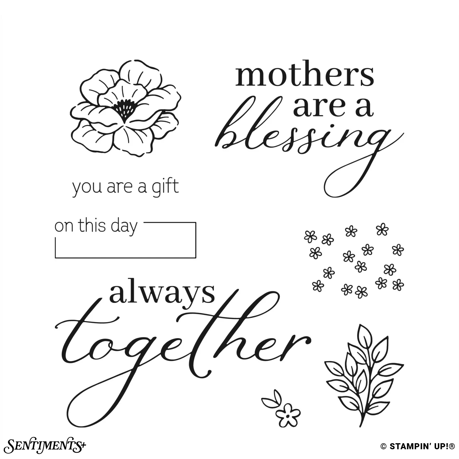 Memories in Bloom Stamp Set: ©Stampin' Up!®