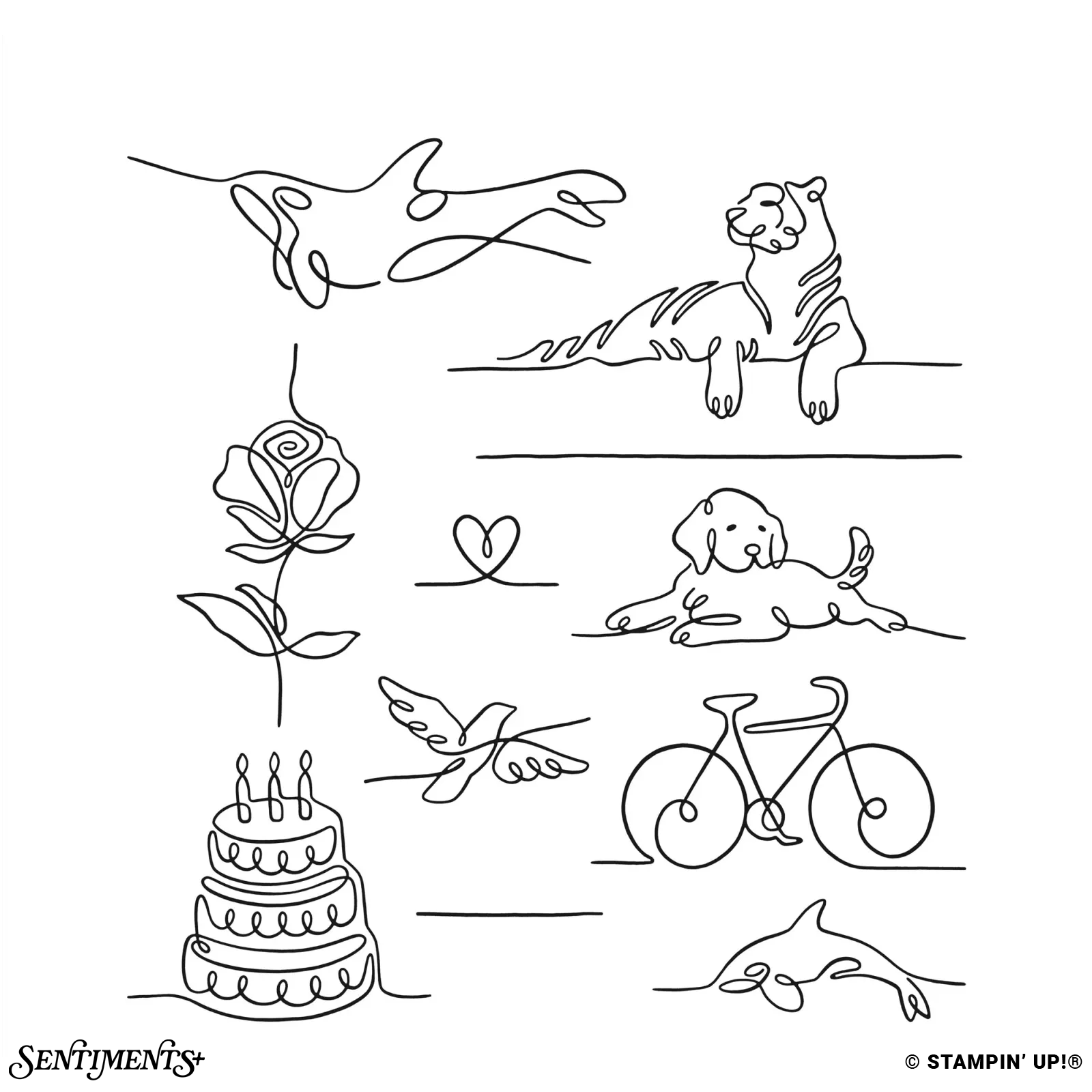 Along These Lines Stamp Set: ©Stampin' Up!®
