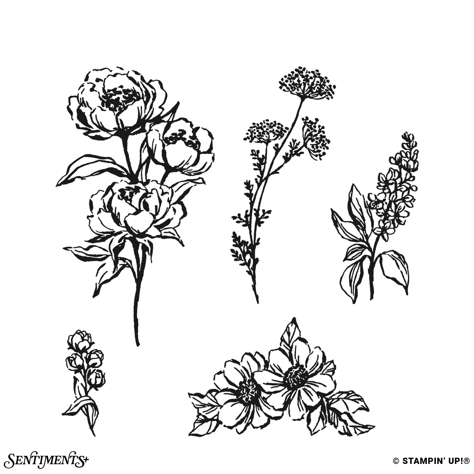 Gallery Blooms Stamp Set: ©Stampin' Up!®