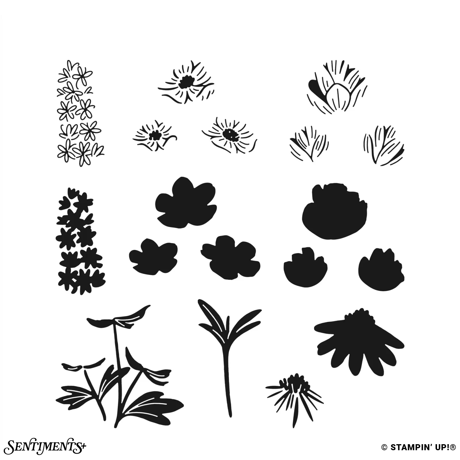 Pretty Florals Stamp Set: ©Stampin' Up!®