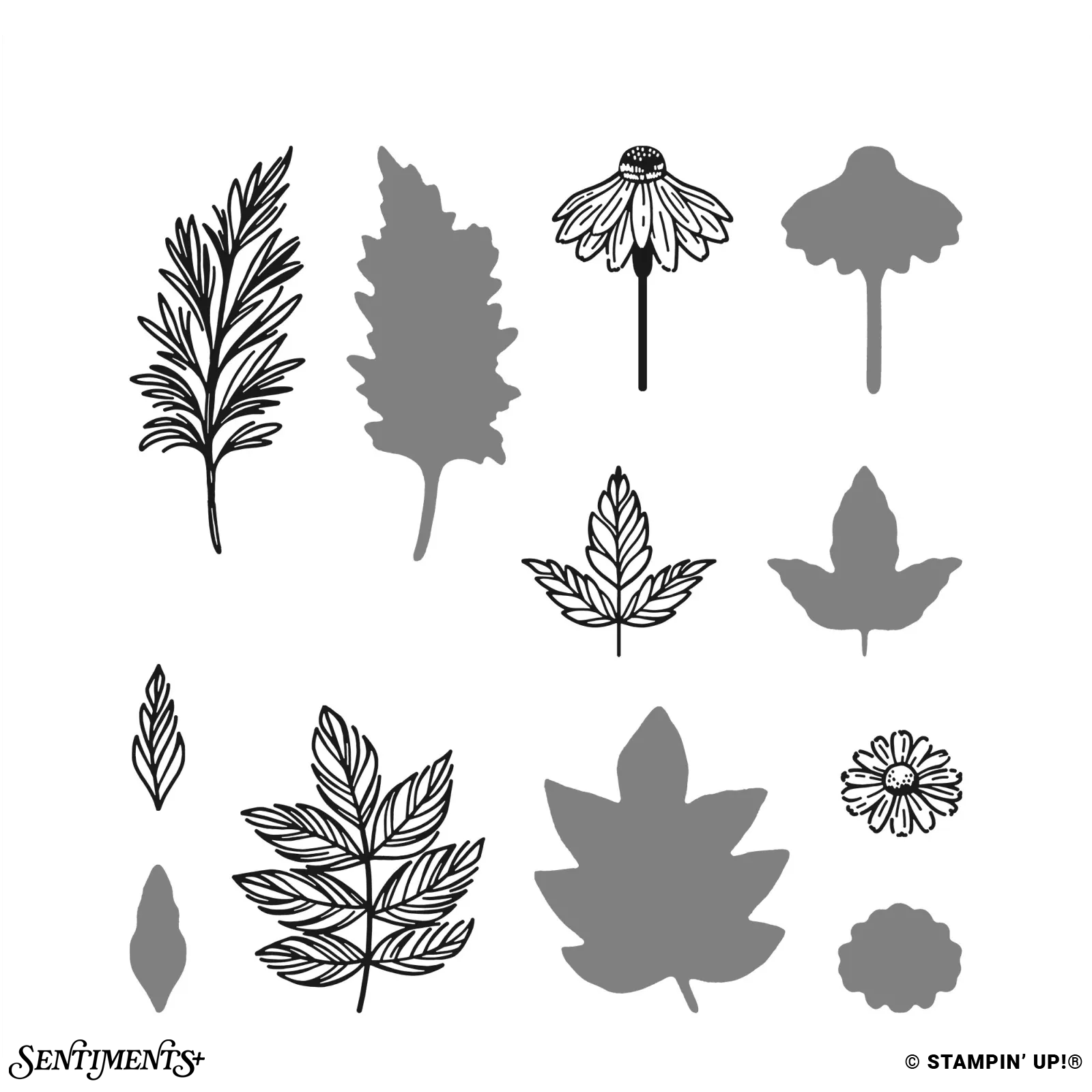 Natural Botanicals Stamp Set: ©Stampin' Up!®