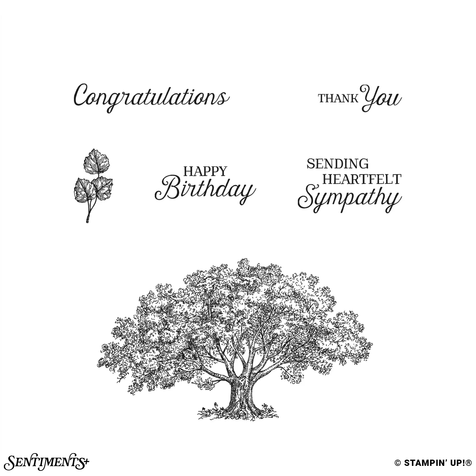 Loveliest Tree Stamp Set: ©Stampin' Up!®