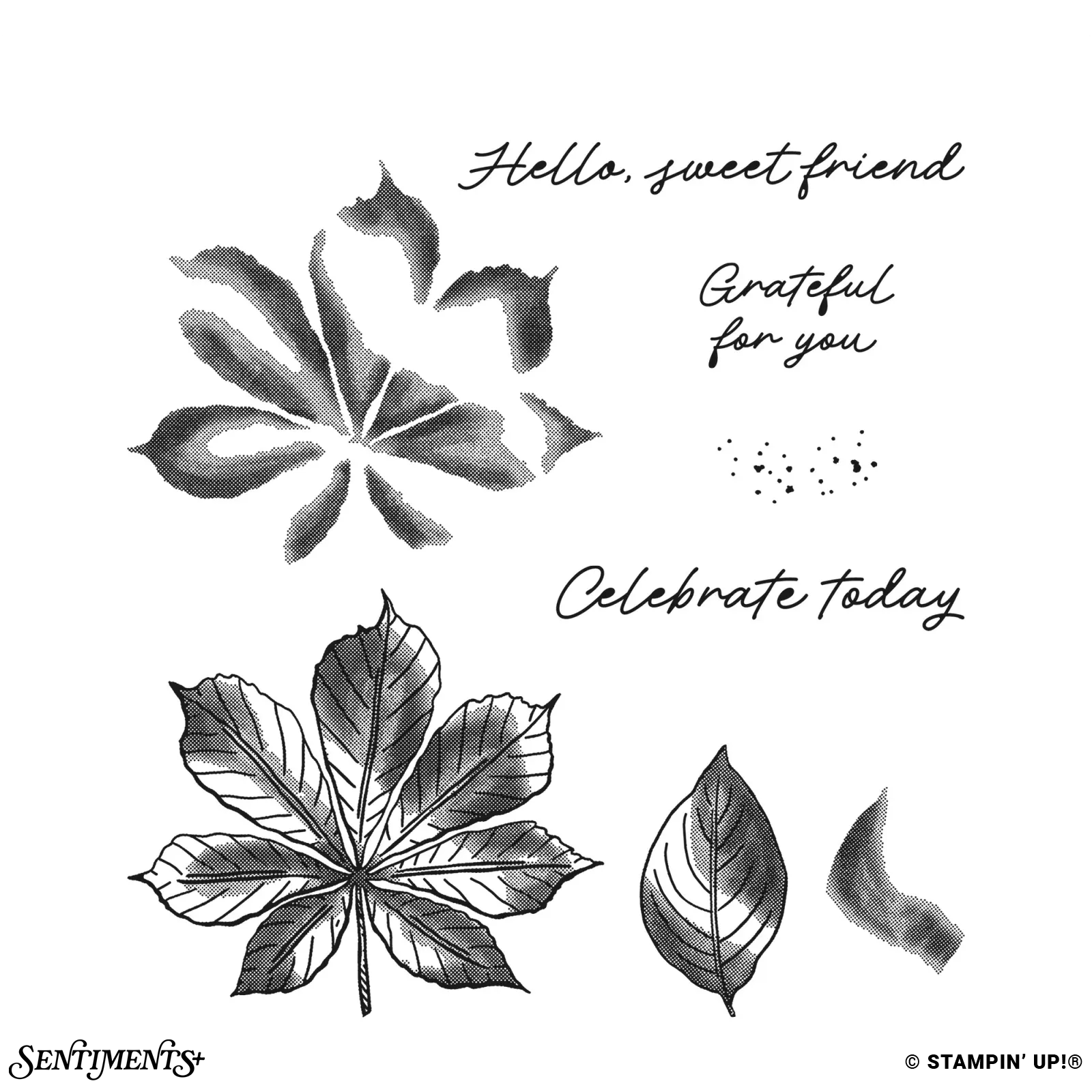 Artistic Leaves Stamp Set: ©Stampin' Up!®