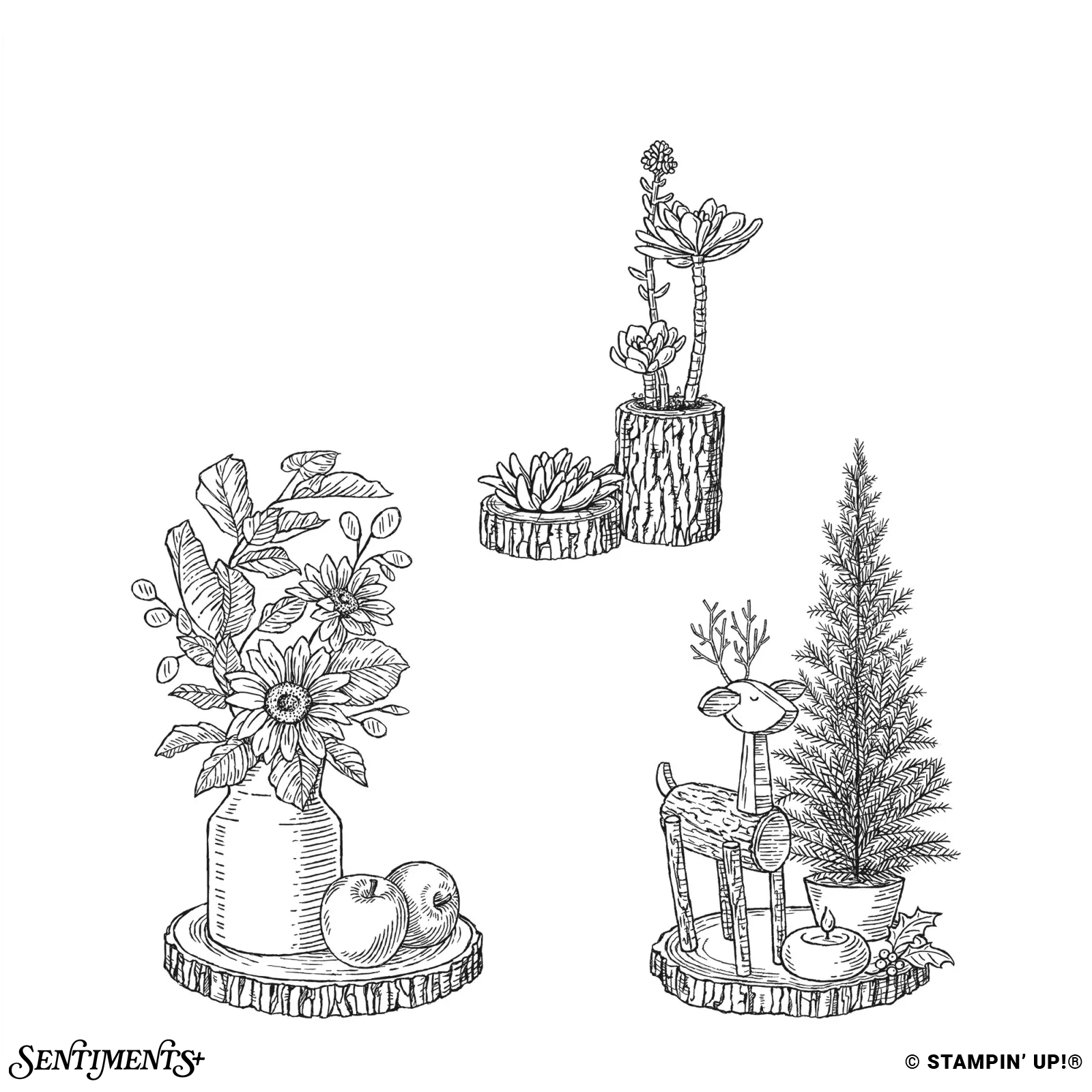 Rustic Centerpiece Stamp Set: ©Stampin' Up!®