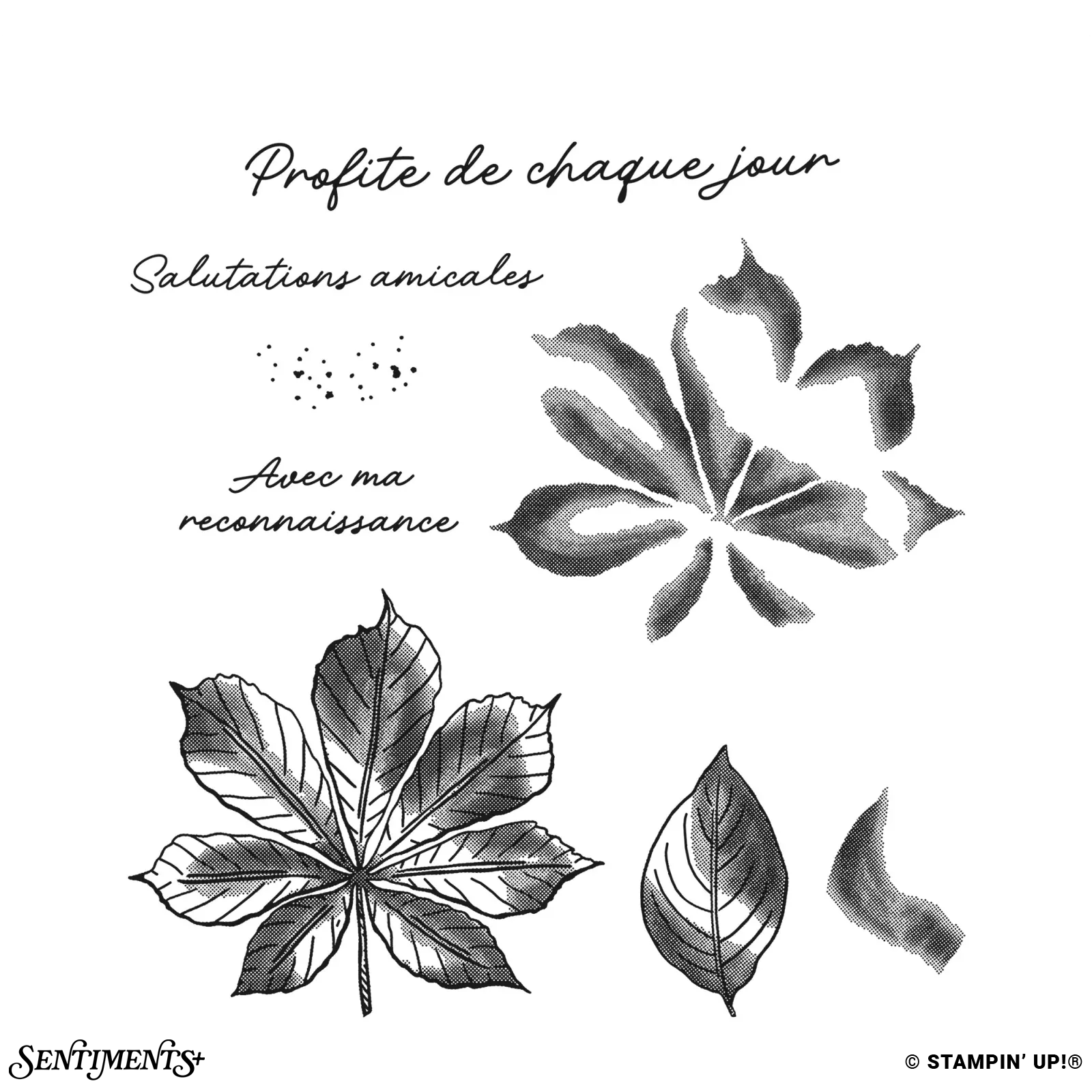 Feuillage Artistique Stamp Set: ©Stampin' Up!®