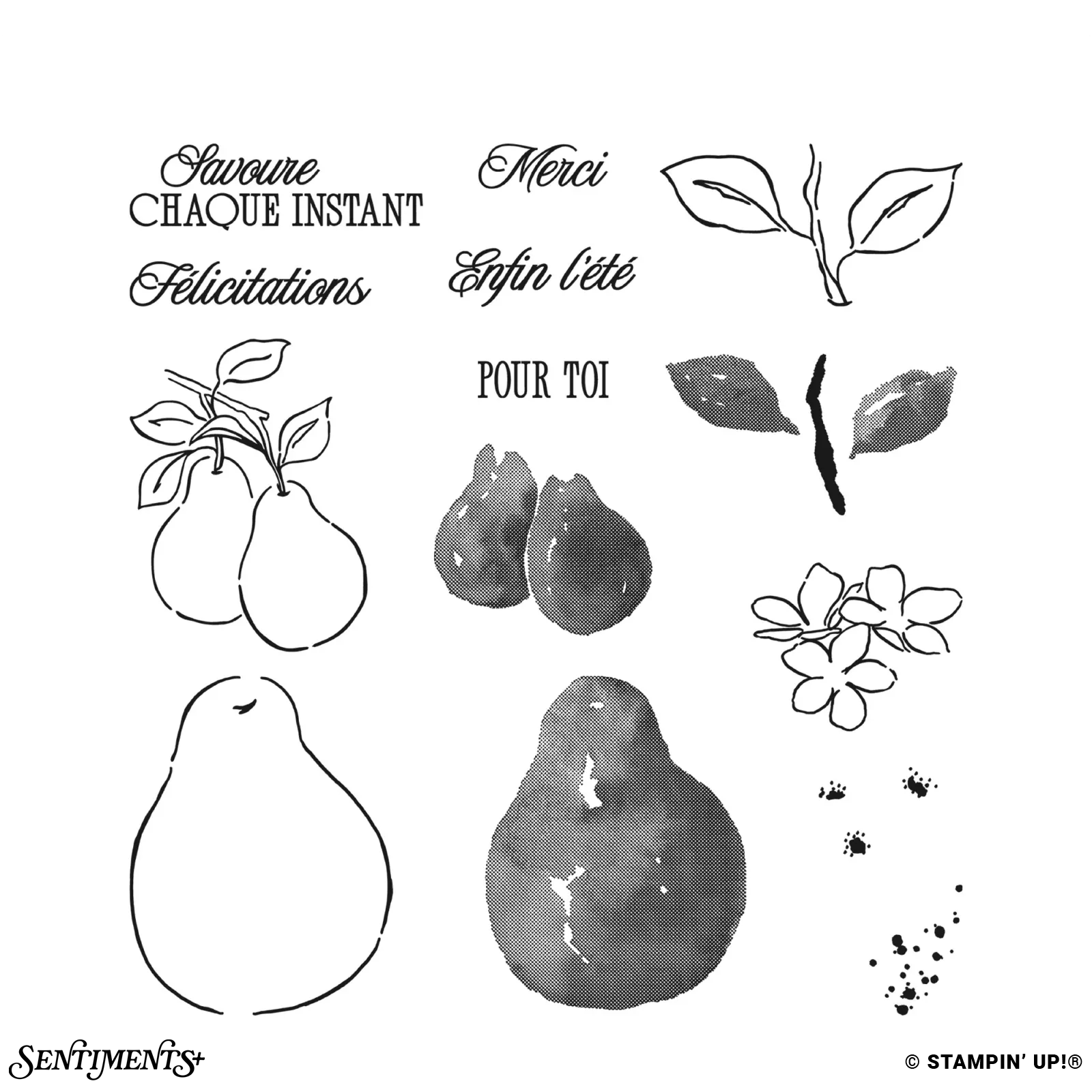Poires Parfaites Stamp Set: ©Stampin' Up!®