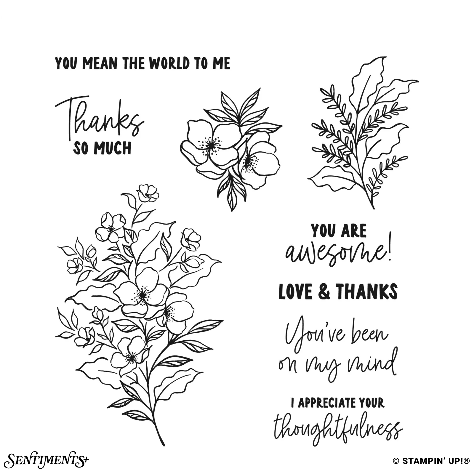 Memorable Blooms Stamp Set: ©Stampin' Up!®