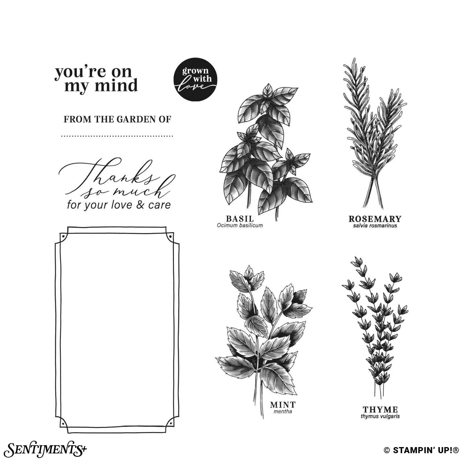 Grow With Love Stamp Set: ©Stampin' Up!®