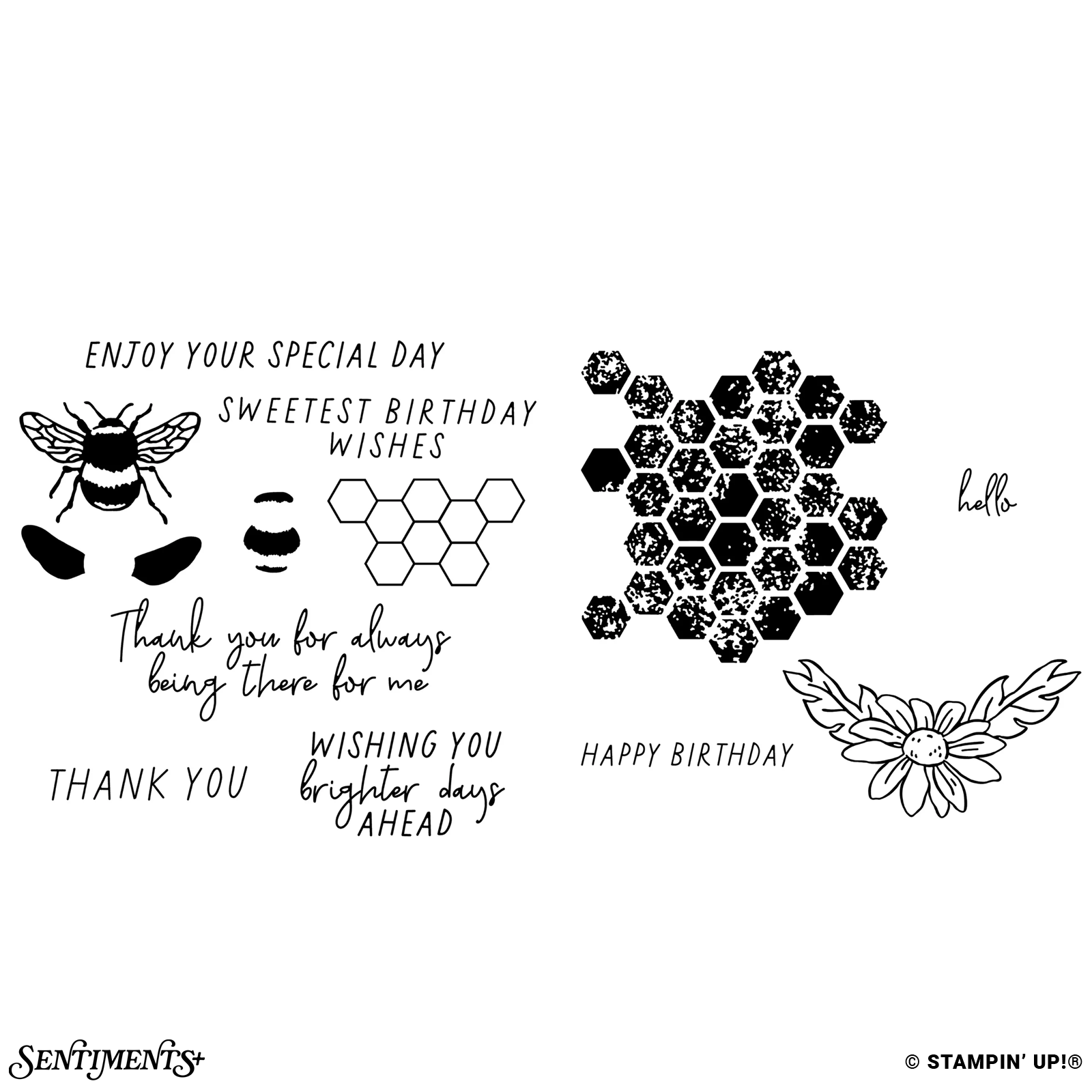 Daisy Daydream Stamp Set: ©Stampin' Up!®