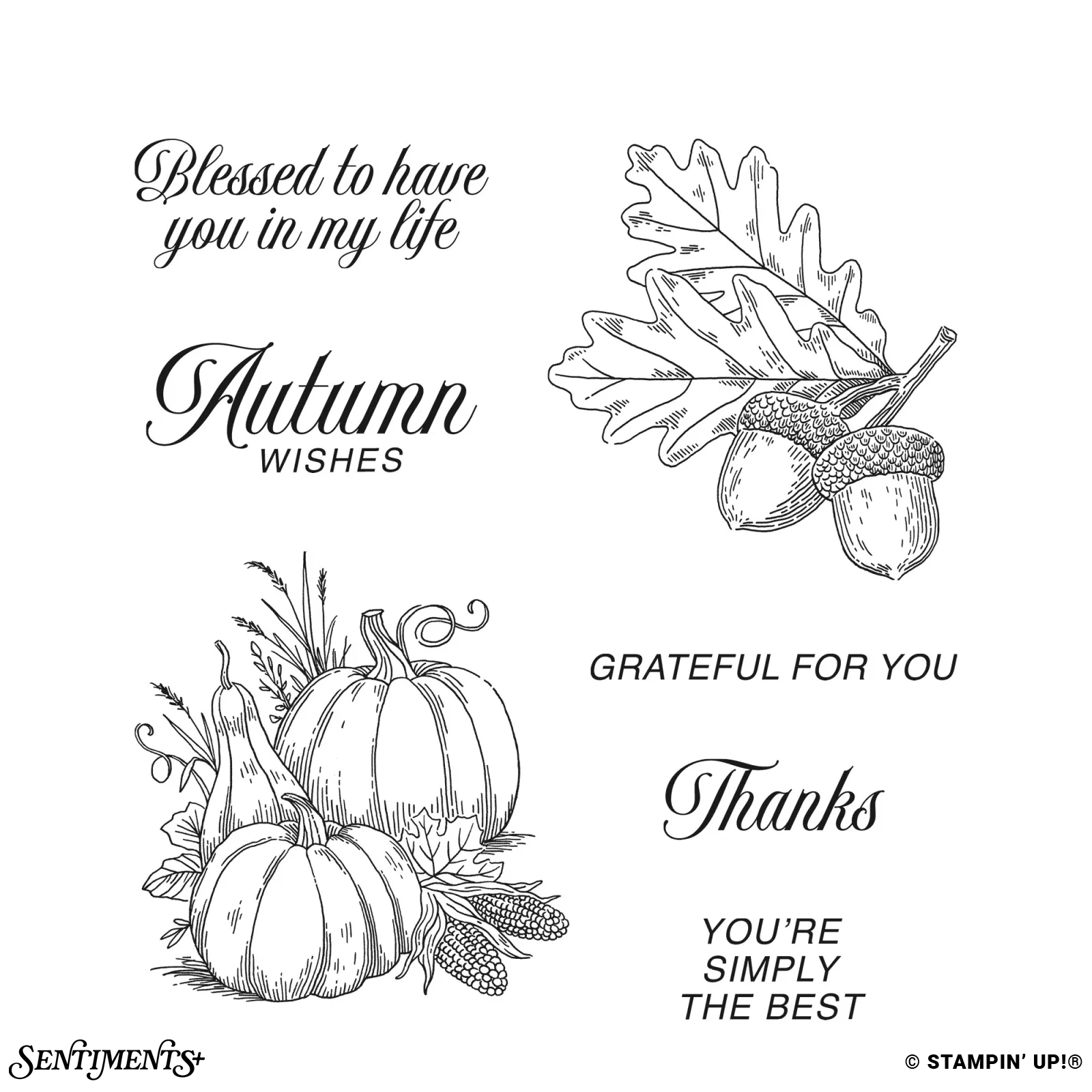 Amber Autumn Stamp Set: ©Stampin' Up!®