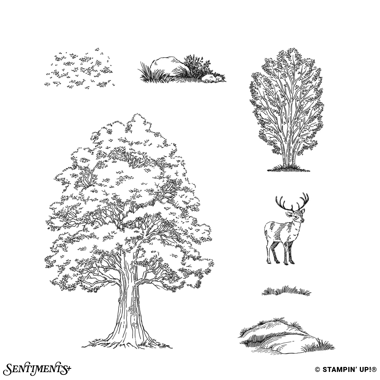 Autumn Trees Stamp Set: ©Stampin' Up!®
