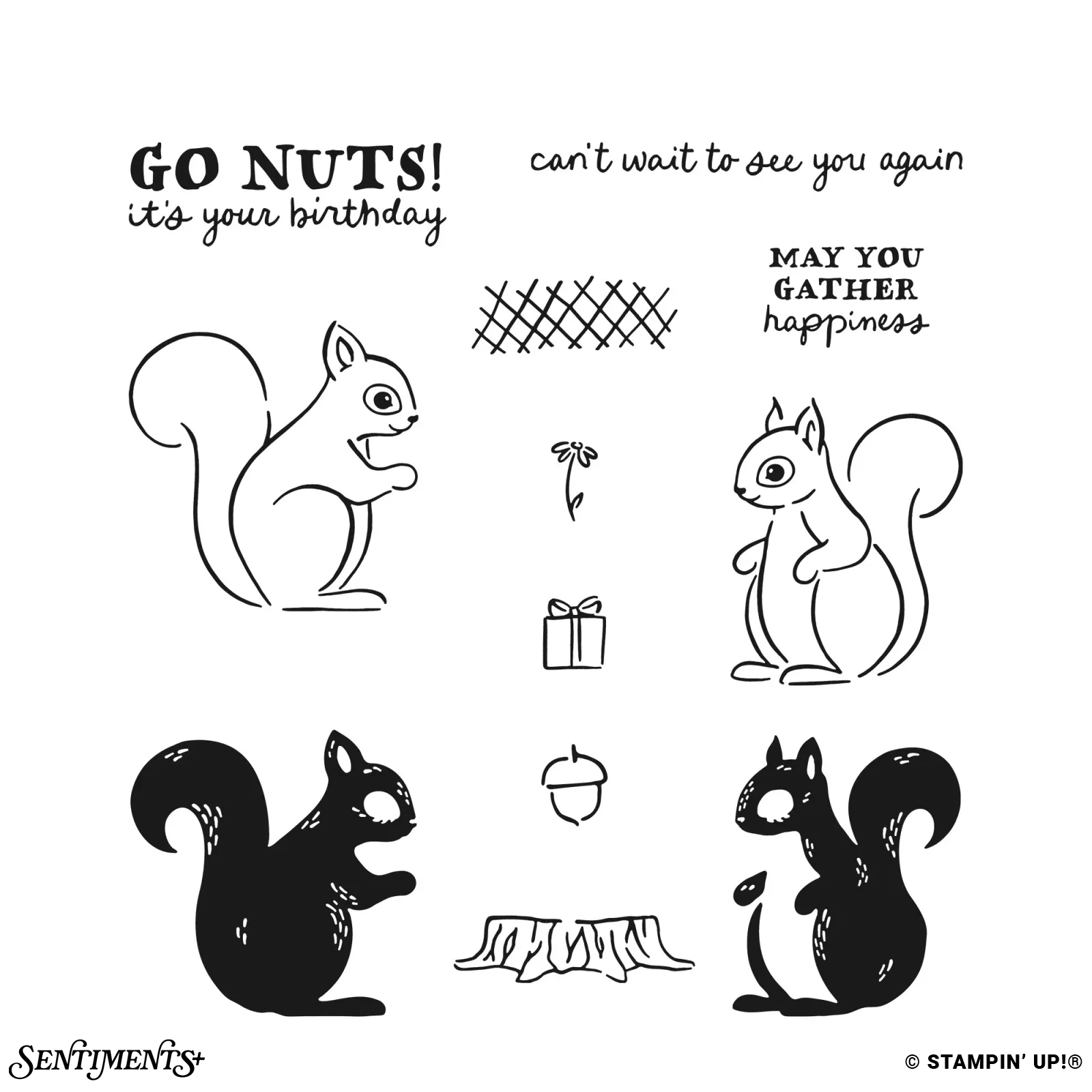 Fluffy Squirrel Stamp Set: ©Stampin' Up!®