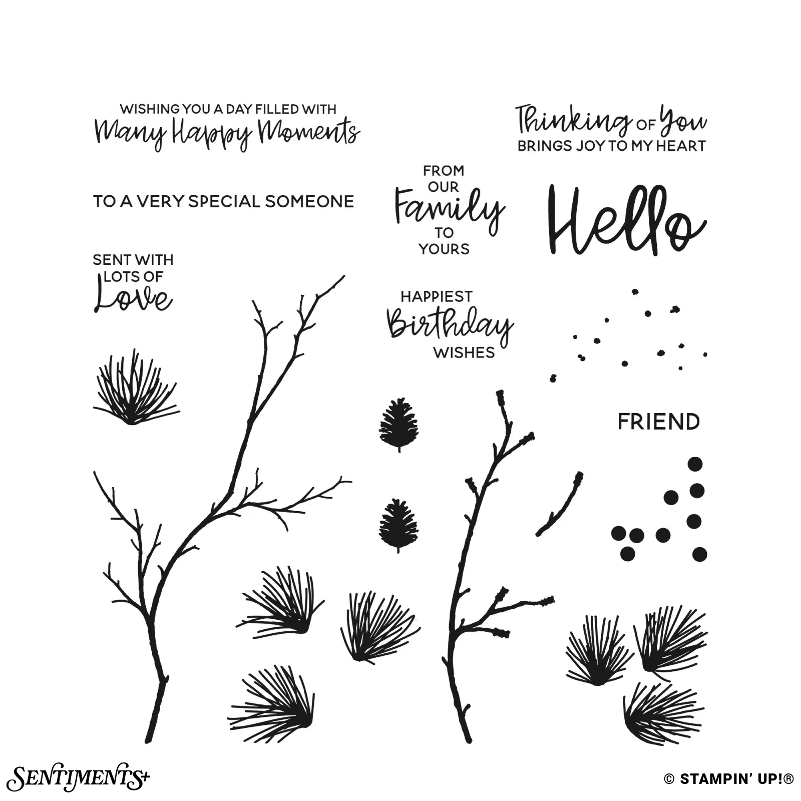 Branching Out Stamp Set: ©Stampin' Up!®
